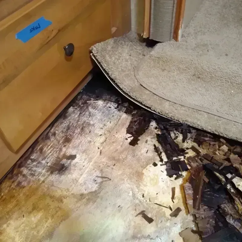 Best Wood Floor Water Damage Service in Savannah, MO